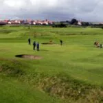 PageLines-18green.jpg